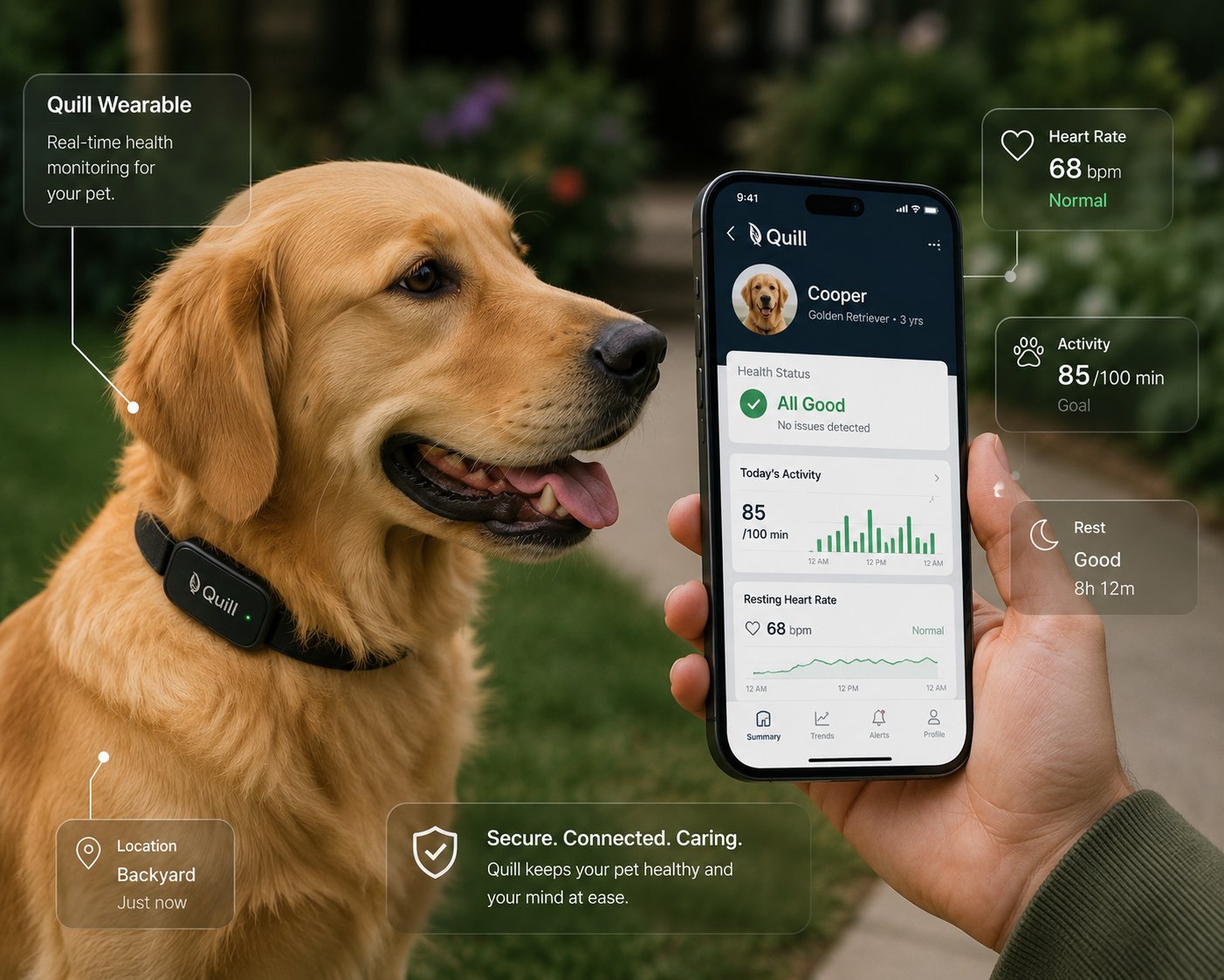 Golden retriever wearing Quills smart collar with health app on phone